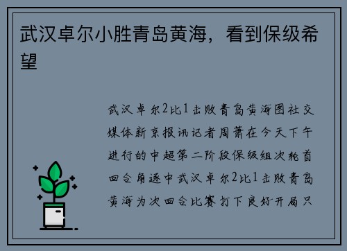 武汉卓尔小胜青岛黄海，看到保级希望